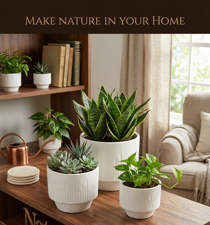 Premium Artisan Ceramic Planter Pots Set of 3 Matte White Stoneware Indoor Flower Pots with Drainage Hole Decorative Plant Pot Combo for Home & Office Decor