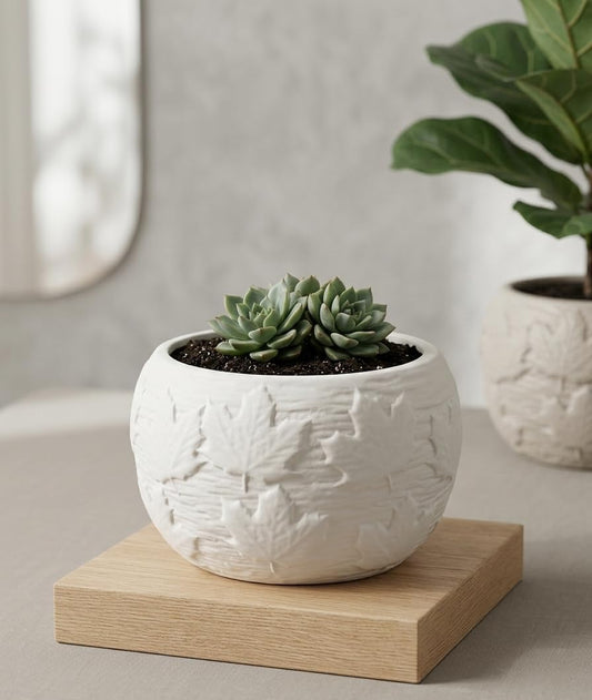 Multipurpose White Ceramic Pot with Leaf Pattern, Scandi Style, Indoor or Outdoor Planter, Desktop Storage, 13.5x9cm