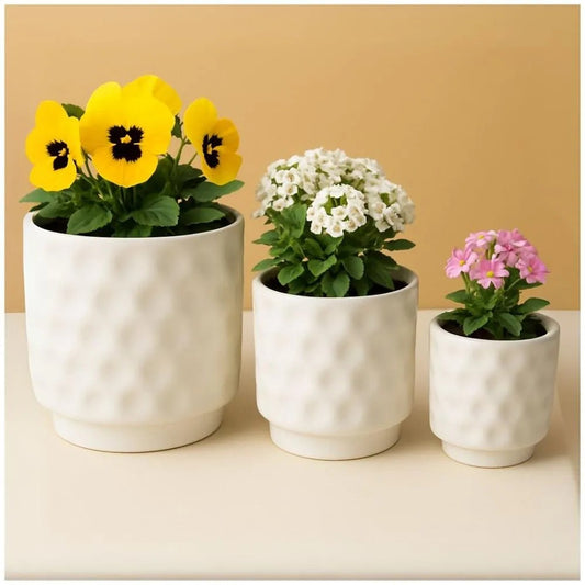 Set of 3 Textured Plant Pots with Modern Minimalist Design for Indoor & Outdoor Use Decorative Flower Pots for Home, Office, Balcony, Patio & Garden White