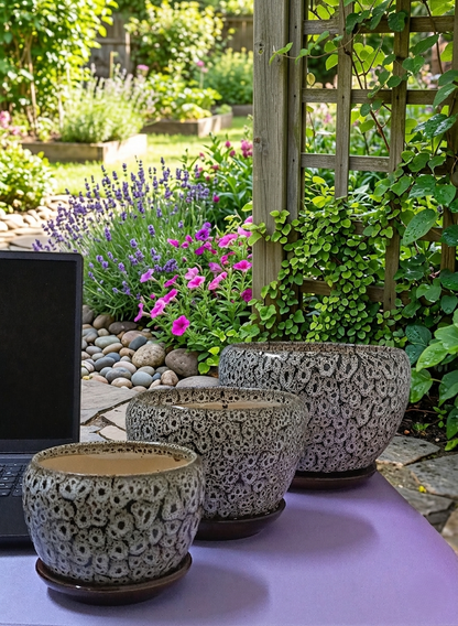 Set of 3 Speckled Ceramic Planters and Organiser Bowls Versatile Desktop Storage Containers, Decorative Indoor Plant Pots for Modern Home and Office