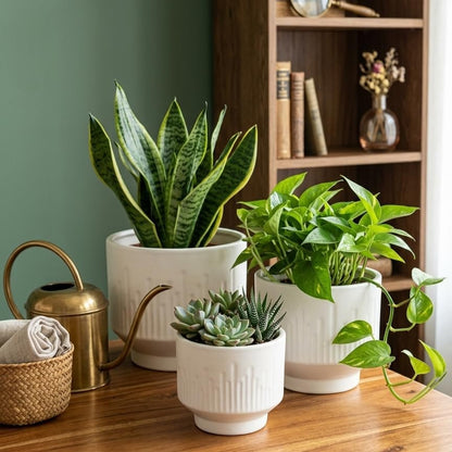 Premium Artisan Ceramic Planter Pots Set of 3 Matte White Stoneware Indoor Flower Pots with Drainage Hole Decorative Plant Pot Combo for Home & Office Décor
