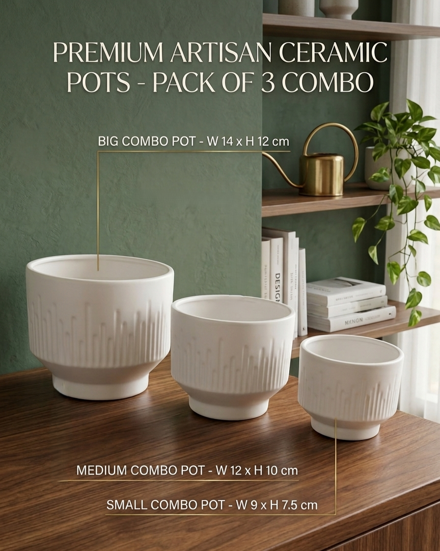 Premium Artisan Ceramic Planter Pots Set of 3 Matte White Stoneware Indoor Flower Pots with Drainage Hole Decorative Plant Pot Combo for Home & Office Decor