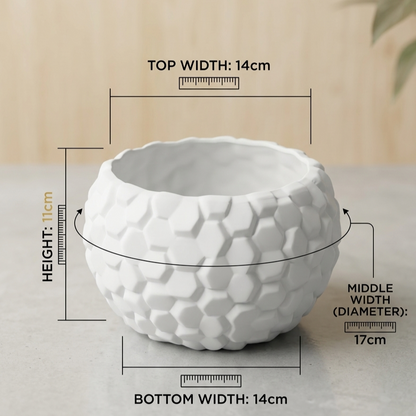 Hexagonal Textured Ceramic Succulent Pot – Modern White Planter