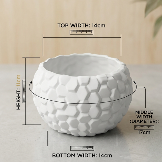 Hexagonal Textured Ceramic Succulent Pot – Modern White Planter