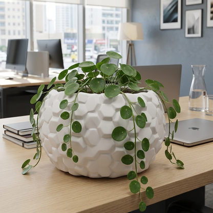 Hexagonal Textured Ceramic Succulent Pot – Modern White Planter