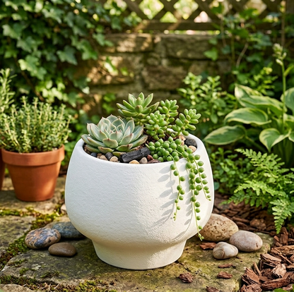 Lacoz Lacoz Ceramic Pot, White, Textured Finish, Round Sculpted Body with Pedestal Base, 16 cm Height, for Succulents and Herbs